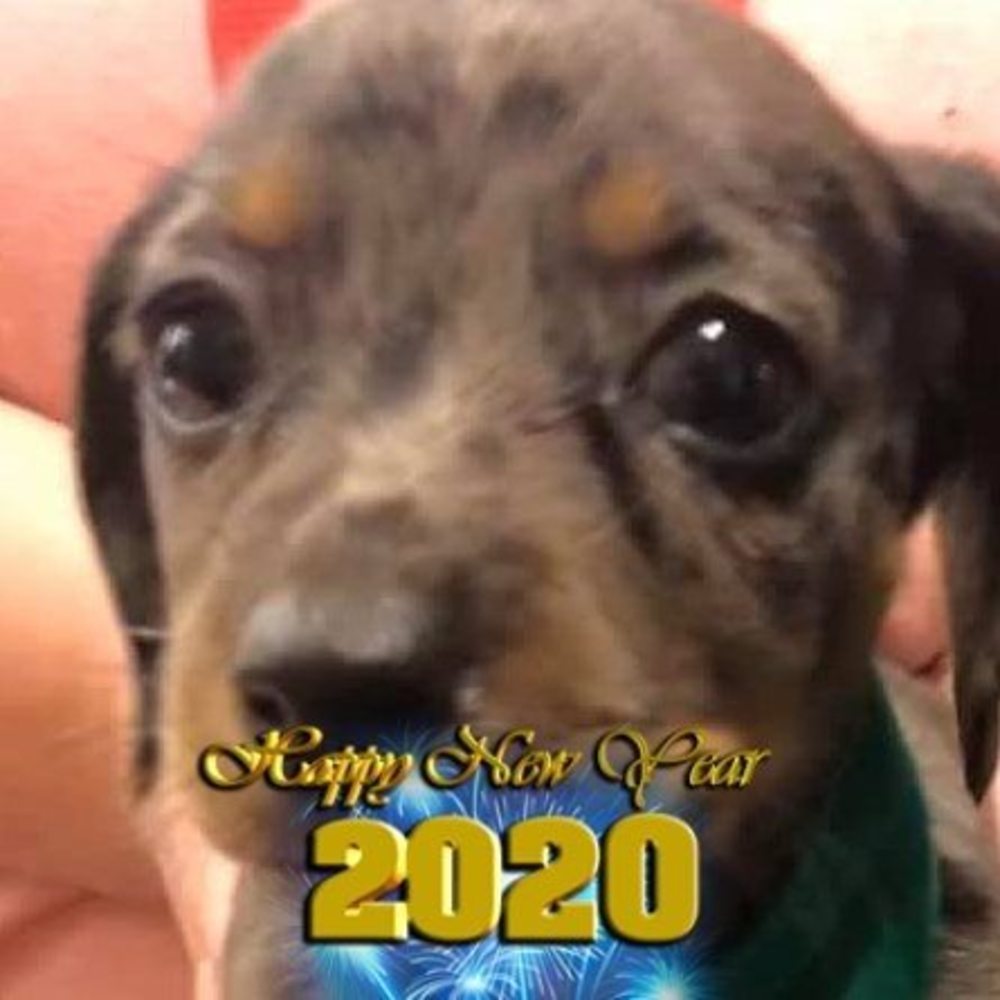 Meet your Posher, Melinda